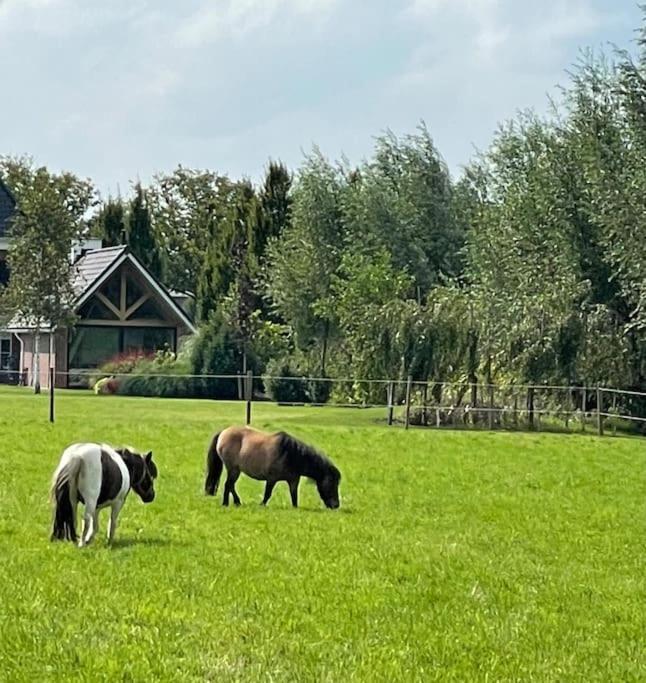 -Nieuw- Luxe & Sfeervol Vakantiehuis Tholen Eksteriør bilde